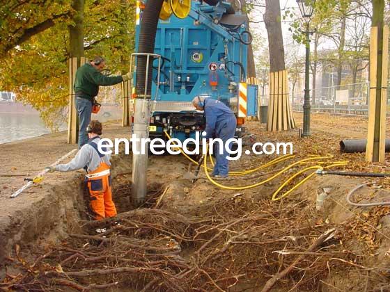 K.A. van Daalen en Zn. B.V. uit Pijnacker
