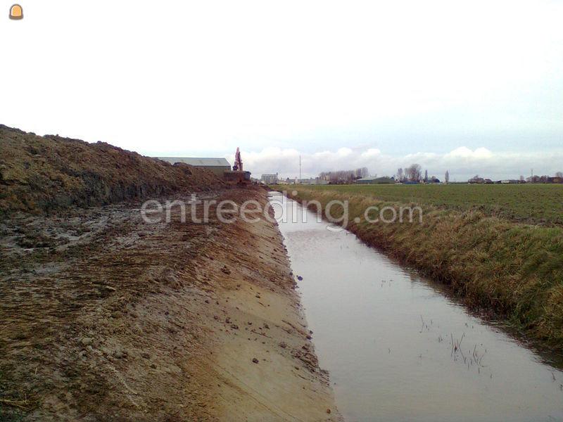 Beschoeiingen zetten