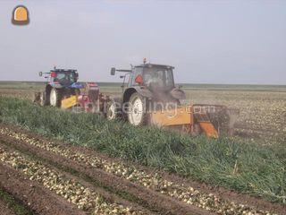 Mac Louis  Omgeving Zierikzee