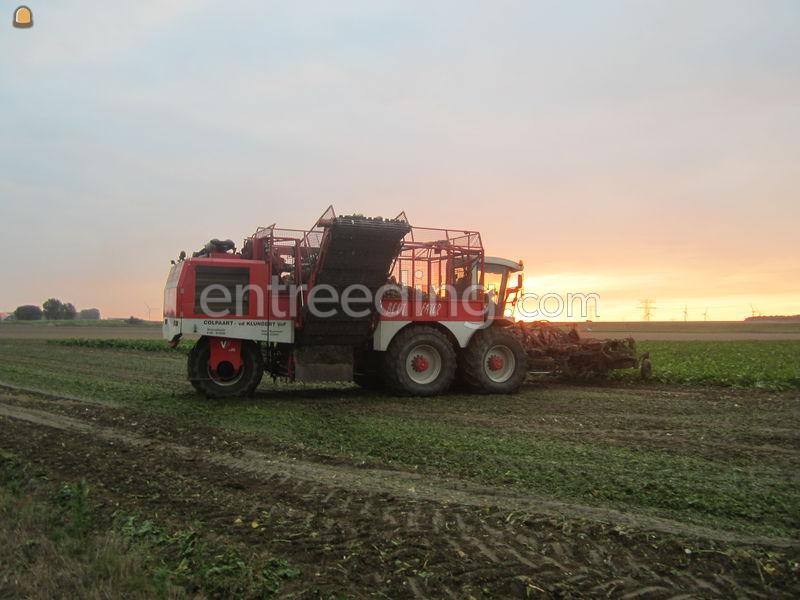 Bietenrooier Vervaet