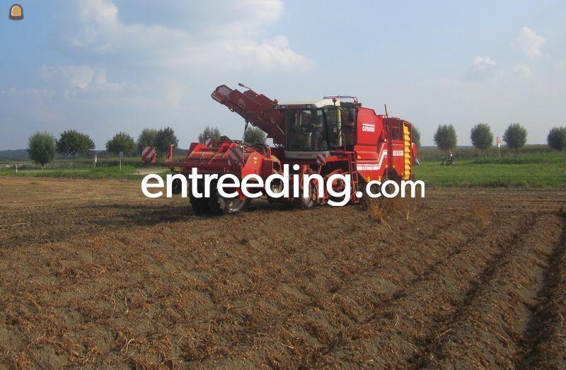 Aardappel rooier Grimme