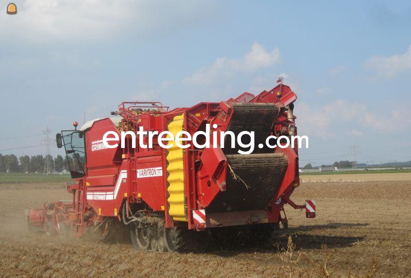 Aardappel rooier Grimme