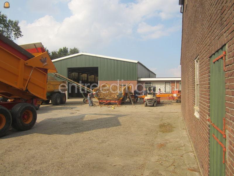 Aardappel rooier Grimme