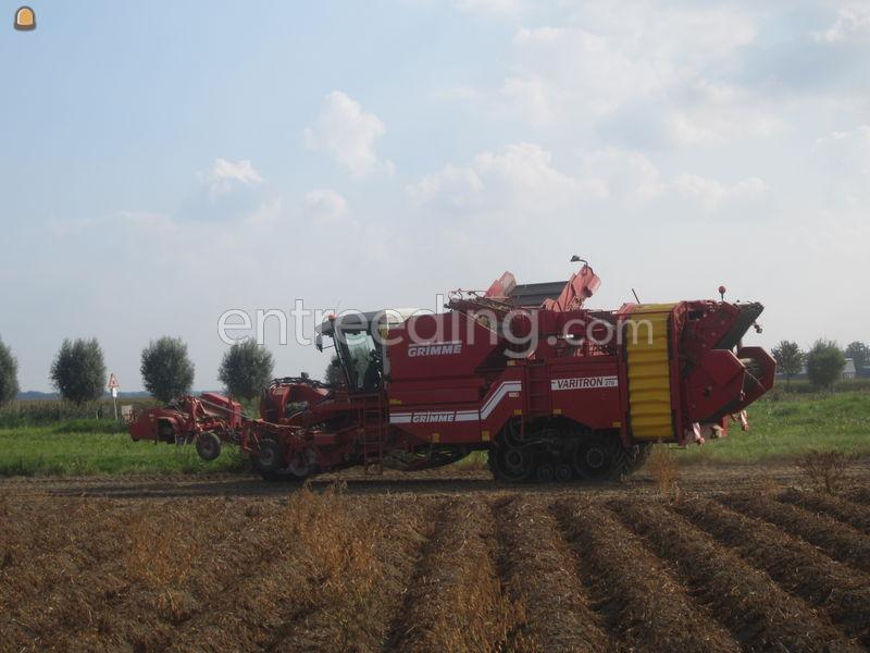 Aardappel rooier Grimme