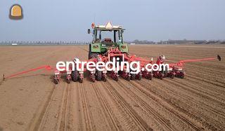 Bietenzaaimachine Omgeving Bergen op Zoom