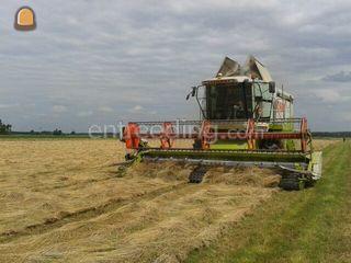 Graszaad dorsen Omgeving Bergen op Zoom