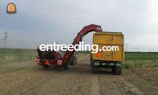 Uien laden Omgeving Bergen op Zoom