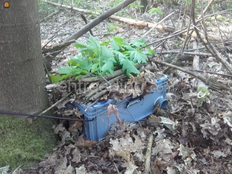 Ecologische onderzoek