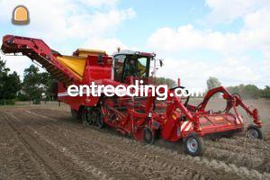 Grimme tectron 415 Omgeving Voorne-Putten