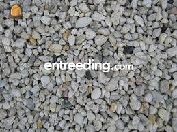  Omgeving Voorne-Putten