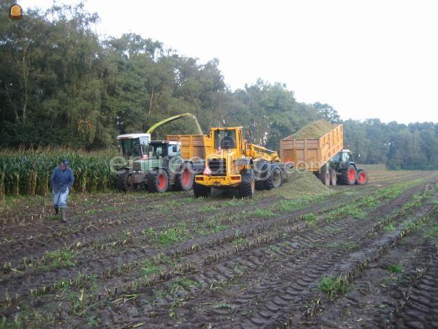 De hakselploeg in de mais