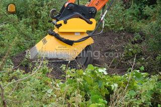 Stobbenfrees aan Kraan Omgeving Bergen op Zoom