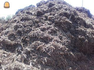 Shredderhout /wortelhout Omgeving Utrecht