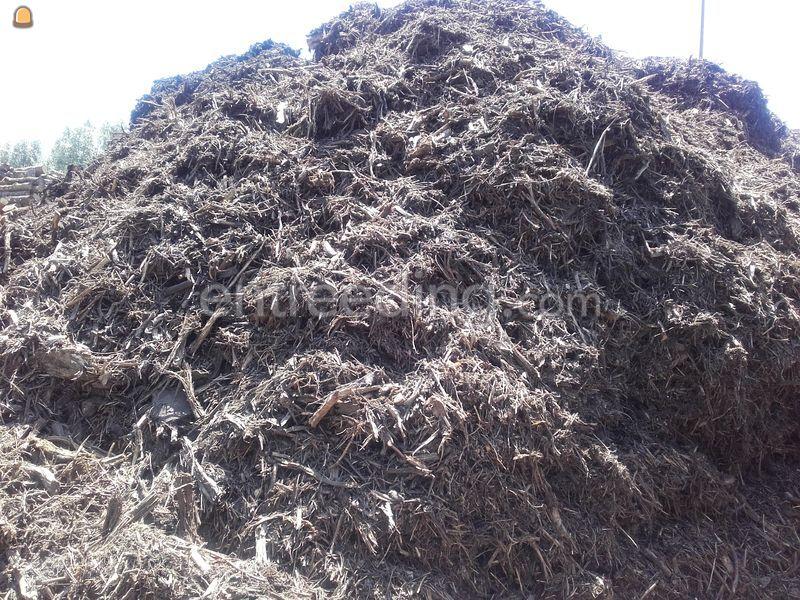 Shredderhout /wortelhout