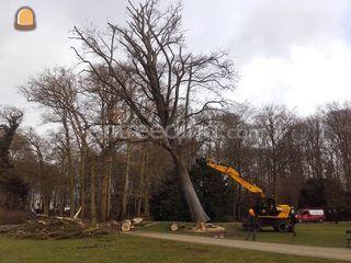 JCB JS 175W Omgeving Utrecht