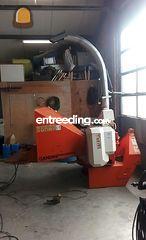 Houthakselaar diameter 30... Omgeving Brugge