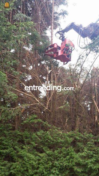 Airman 5ton met boomknipper