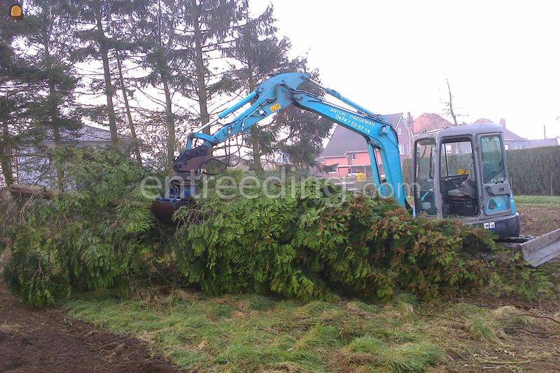 Groenaanleg, onderhoud en omgevingsaanleg