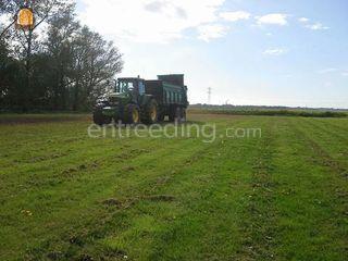Tebbe Breedstooier Omgeving Alkmaar