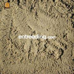 Straatzand Omgeving Goeree-Overflakkee