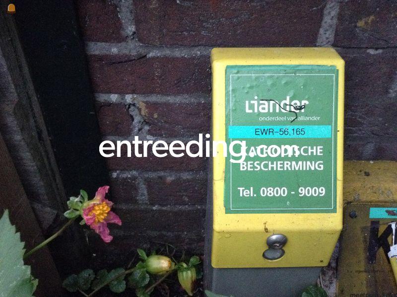 Kathodische bescherming