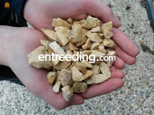 Yellow Sun 8-16 mm split