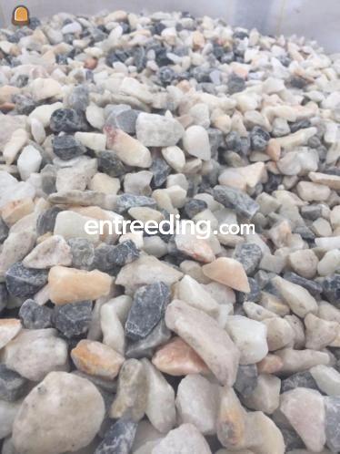 Frozen pink split 14-25 mm