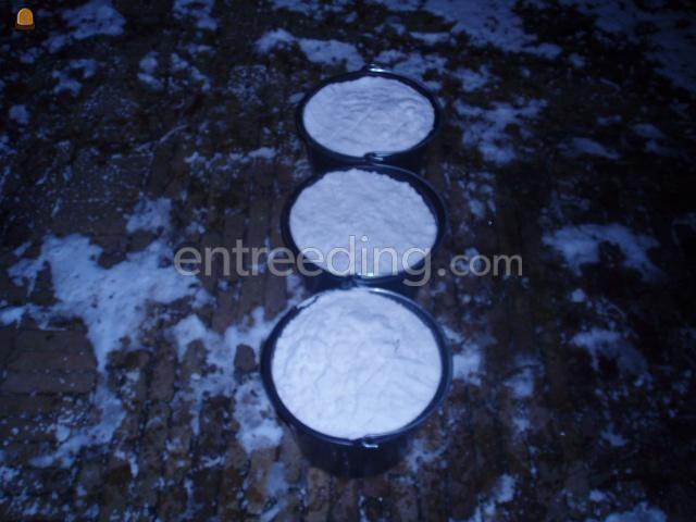 Levering van strooi zout 