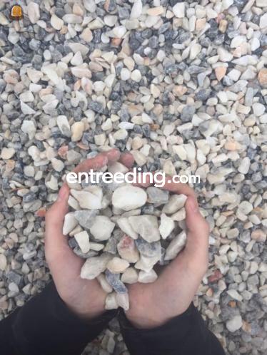 Frozen pink split 14-25 mm