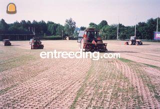 Vertidrain type 7626 Omgeving Purmerend