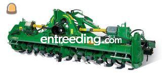 Frees 4,8 mtr Omgeving Kempen