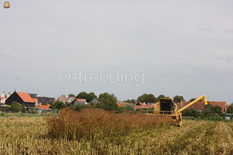 NEW HOLLAND COMBINES