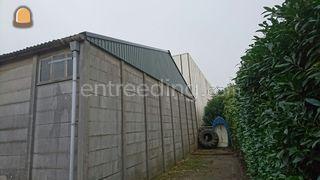 Schurenbouw e.d. Omgeving Goeree-Overflakkee