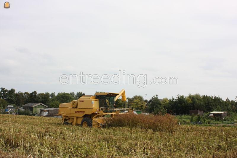 NEW HOLLAND COMBINES