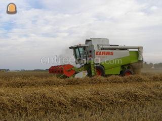 Lexion 460 Omgeving Tholen