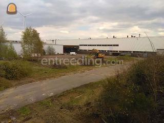 verwijderen van bomen en ... Omgeving Herentals, Turnhout