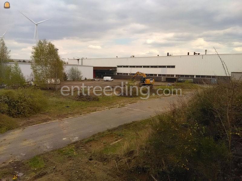 Verwijderen van bomen en bossen