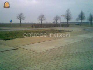 70 tons weegbrug. Omgeving Steenbergen