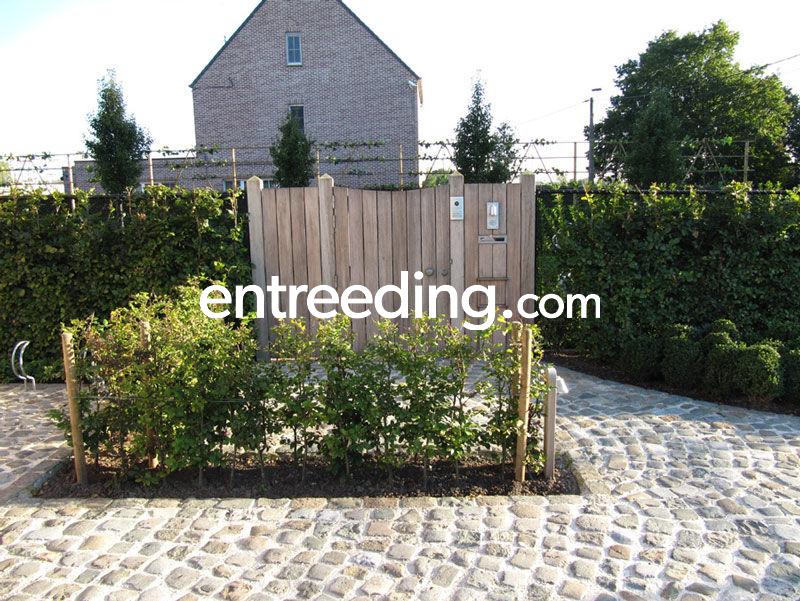 Antonissen Tuinen B.V.B.A. uit Zandhoven