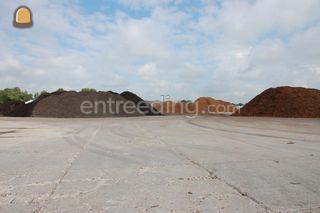 div. soorten boomschors Omgeving Haarlem