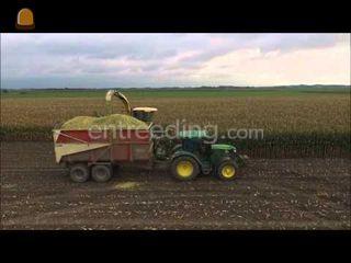 New Holland FX40 Omgeving Middelburg