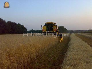 New Holland TC 5070 Omgeving Hilversum