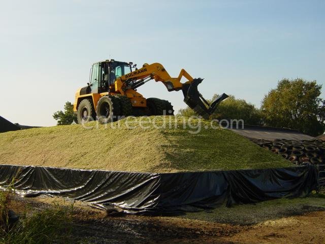 H. van de Meent & Zn. uit Hilversum