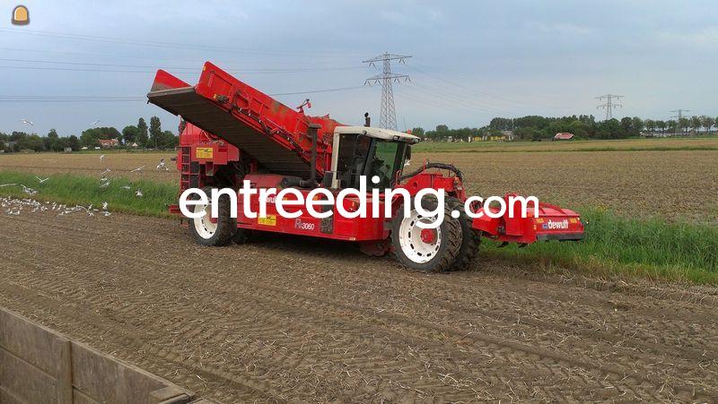 2 x DeWulf Mega R3060