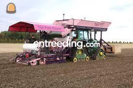 3 X Nettenplanters 1,80 m... Omgeving Middenmeer