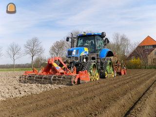 Witlofruggenfrees Omgeving Middenmeer