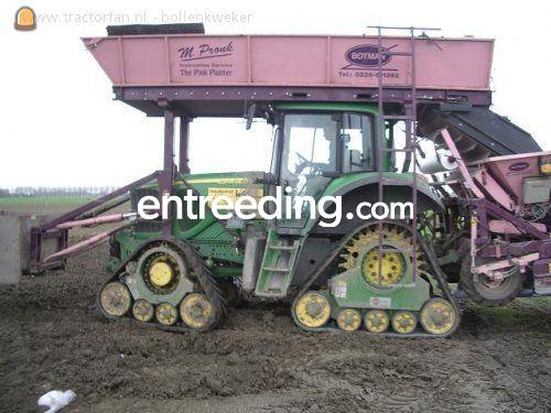 3 X Nettenplanters 1,80 met rupsen