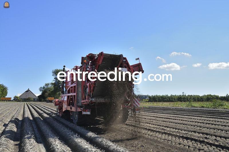 2 x DeWulf Mega R3060