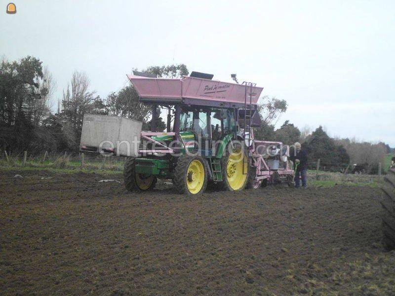 3 X Nettenplanters 1,80 met rupsen