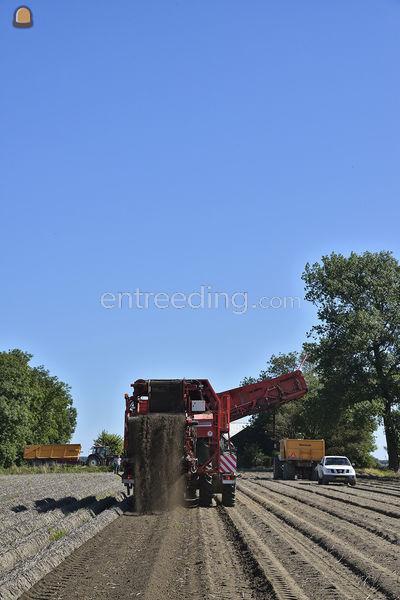 2 x DeWulf Mega R3060